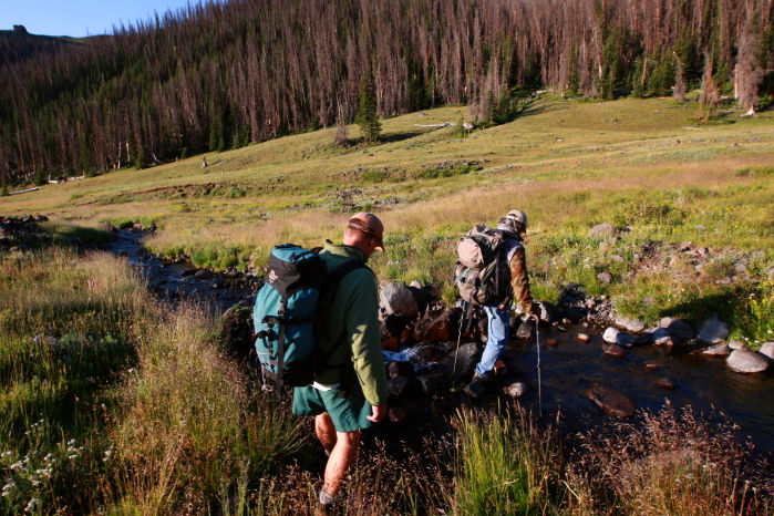 Grizzly Moth Site